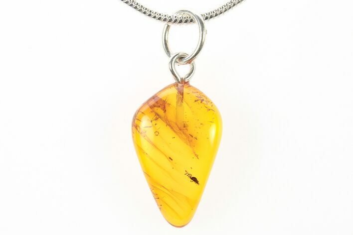 Polished Baltic Amber Pendant (Necklace) - Contains Mite! #275931